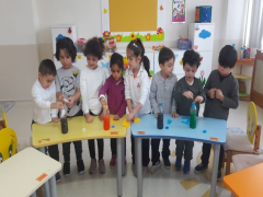 Evrensel Kolej