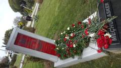 Evrensel Kolej