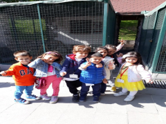Evrensel Kolej