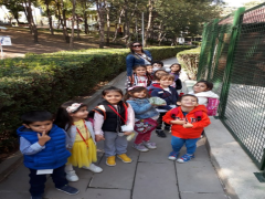 Evrensel Kolej