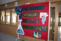 Evrensel Kolej