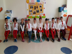 Evrensel Kolej