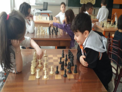 Evrensel Kolej