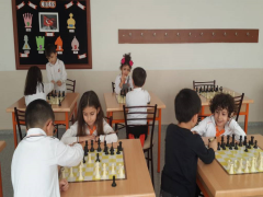 Evrensel Kolej