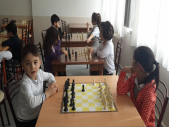 Evrensel Kolej