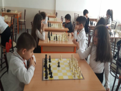 Evrensel Kolej