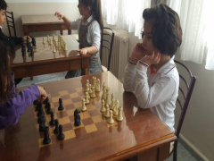 Evrensel Kolej