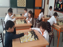 Evrensel Kolej