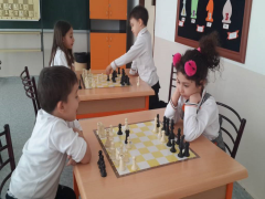 Evrensel Kolej