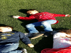 Evrensel Kolej