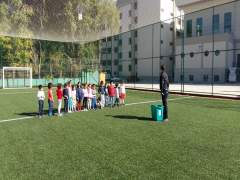 Evrensel Kolej