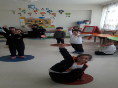 Evrensel Kolej