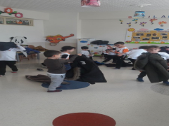 Evrensel Kolej