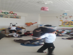 Evrensel Kolej