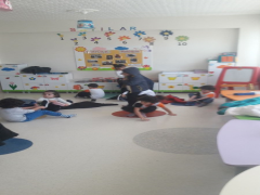 Evrensel Kolej