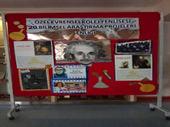 Evrensel Kolej