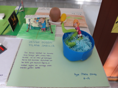 Evrensel Kolej