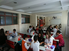 Evrensel Kolej