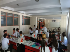 Evrensel Kolej