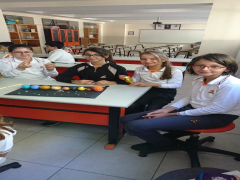 Evrensel Kolej