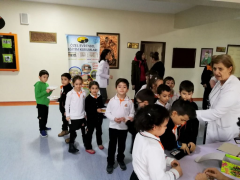 Evrensel Kolej