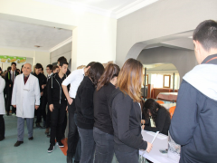 Evrensel Kolej