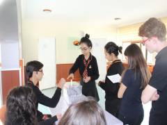 Evrensel Kolej