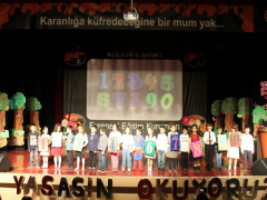 Evrensel Kolej