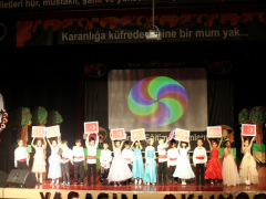 Evrensel Kolej