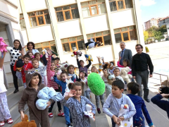 Evrensel Kolej