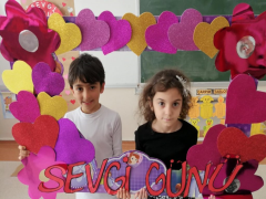 Evrensel Kolej