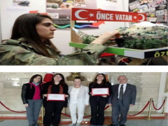 Evrensel Kolej