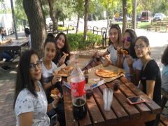 Evrensel Kolej