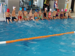 Evrensel Kolej