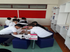 Evrensel Kolej