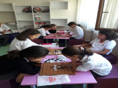 Evrensel Kolej