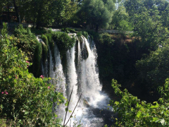 Evrensel Kolej