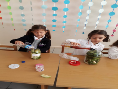 Evrensel Kolej