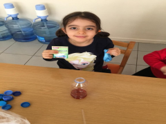 Evrensel Kolej