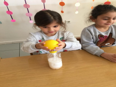 Evrensel Kolej