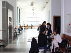Evrensel Kolej