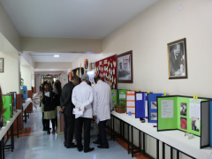 Evrensel Kolej
