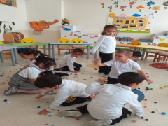 Evrensel Kolej