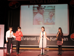 Evrensel Kolej
