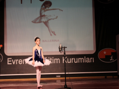 Evrensel Kolej