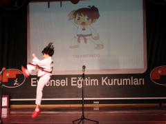 Evrensel Kolej