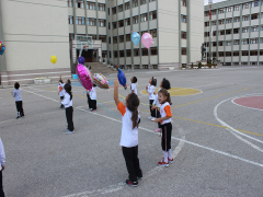 Evrensel Kolej