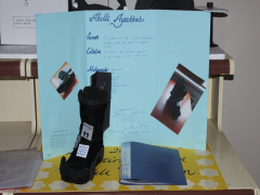 Evrensel Kolej