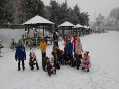 Evrensel Kolej