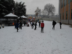 Evrensel Kolej